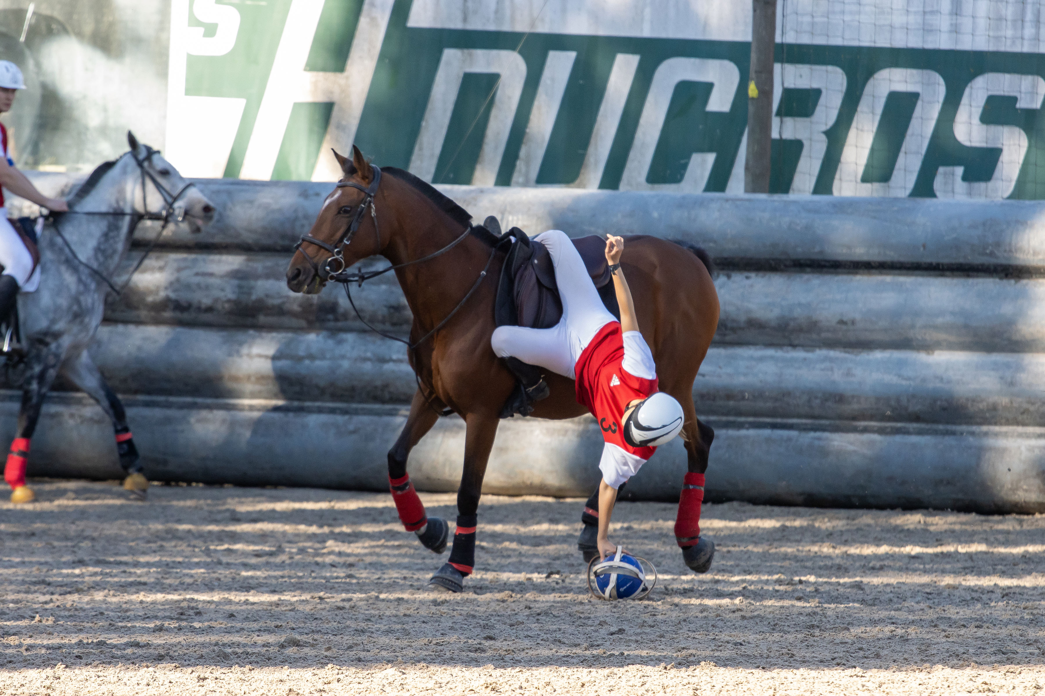 Concours CSO Interne 120cm