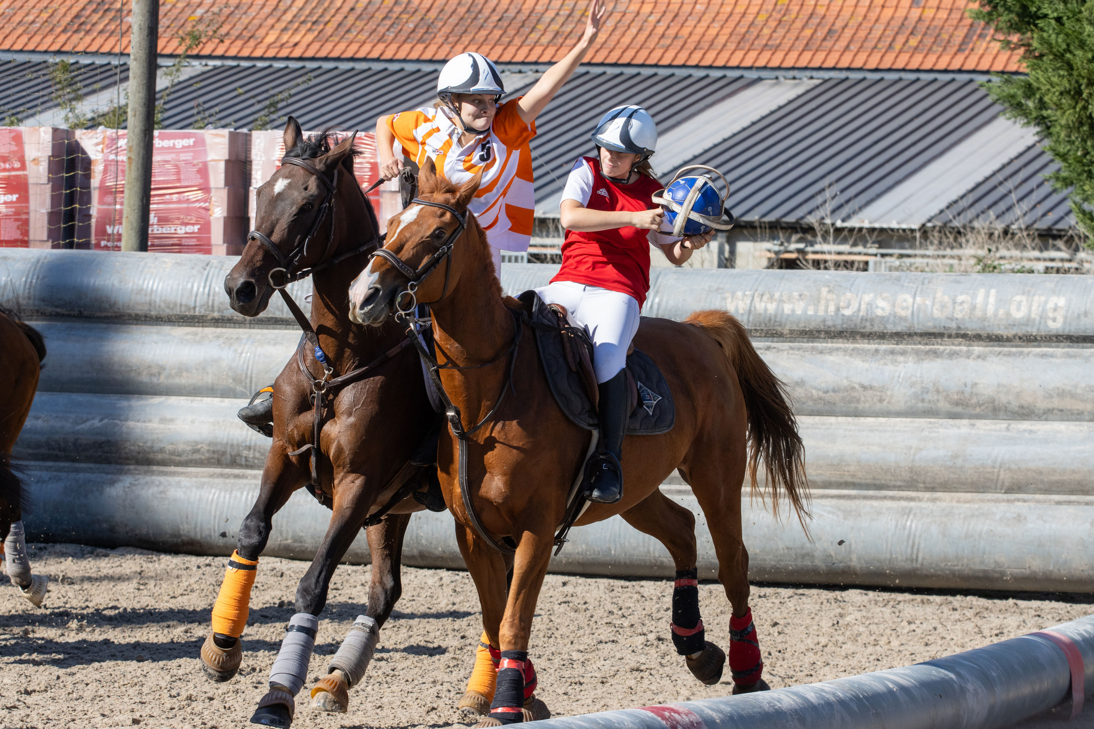 Concours CSO Interne 120cm